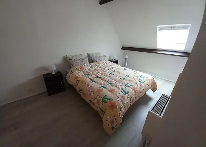 Confortable Appartement Duplex