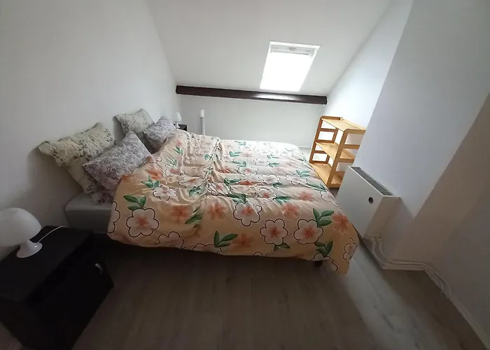 Confortable Appartement Duplex